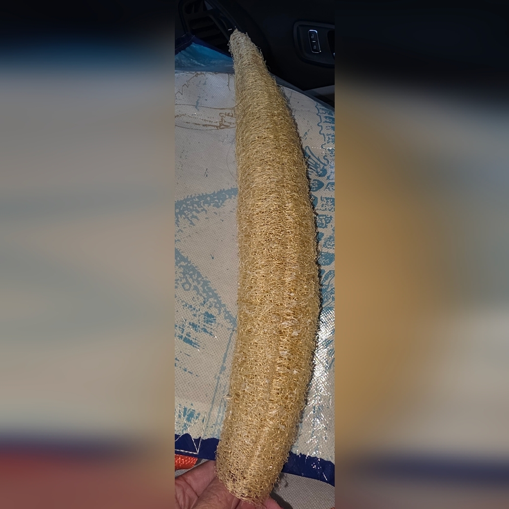 Home Grown Natural Loofah Bath Sponge